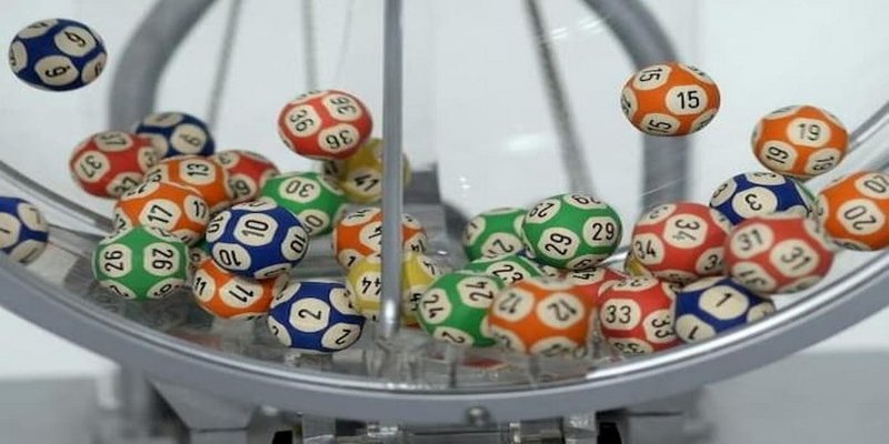 Bạch thủ lô là gì