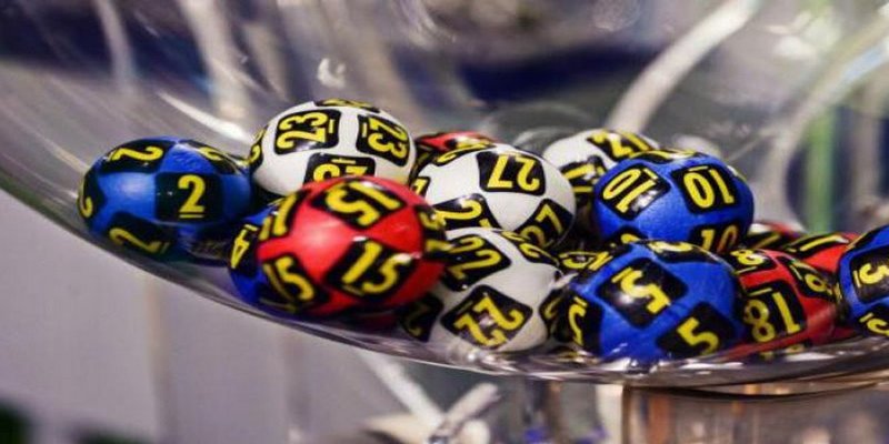 Bạch thủ lô là gì