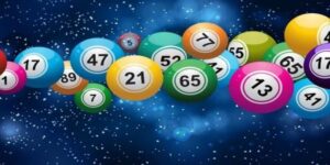 cách nuôi dàn đề