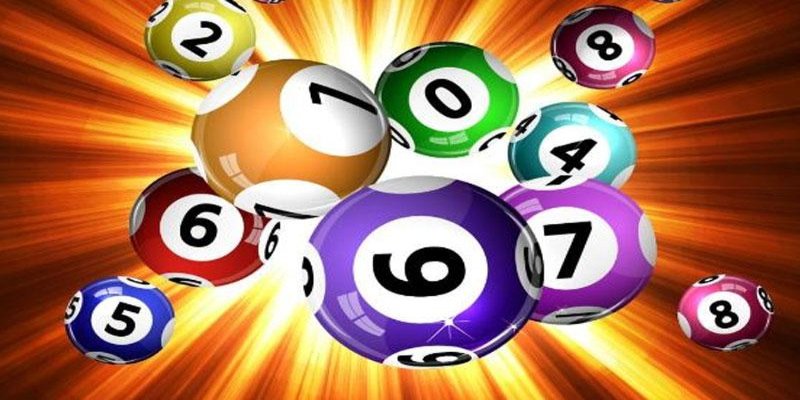 cách nuôi dàn đề